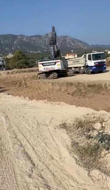 DTB’de tesis büyüyor